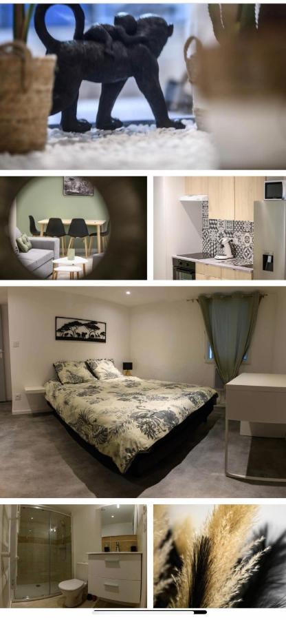 Le Boldieu- Duplex Beziers -Allee Paul Riquet- Wifi- Tv Connecte Εξωτερικό φωτογραφία