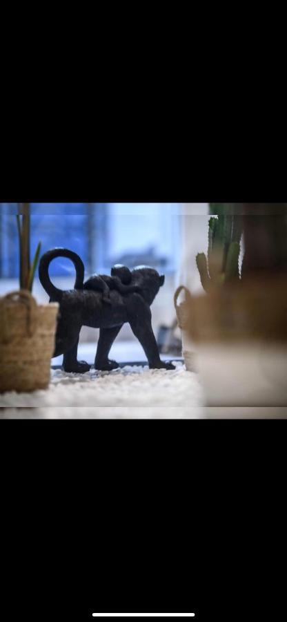Le Boldieu- Duplex Beziers -Allee Paul Riquet- Wifi- Tv Connecte Εξωτερικό φωτογραφία