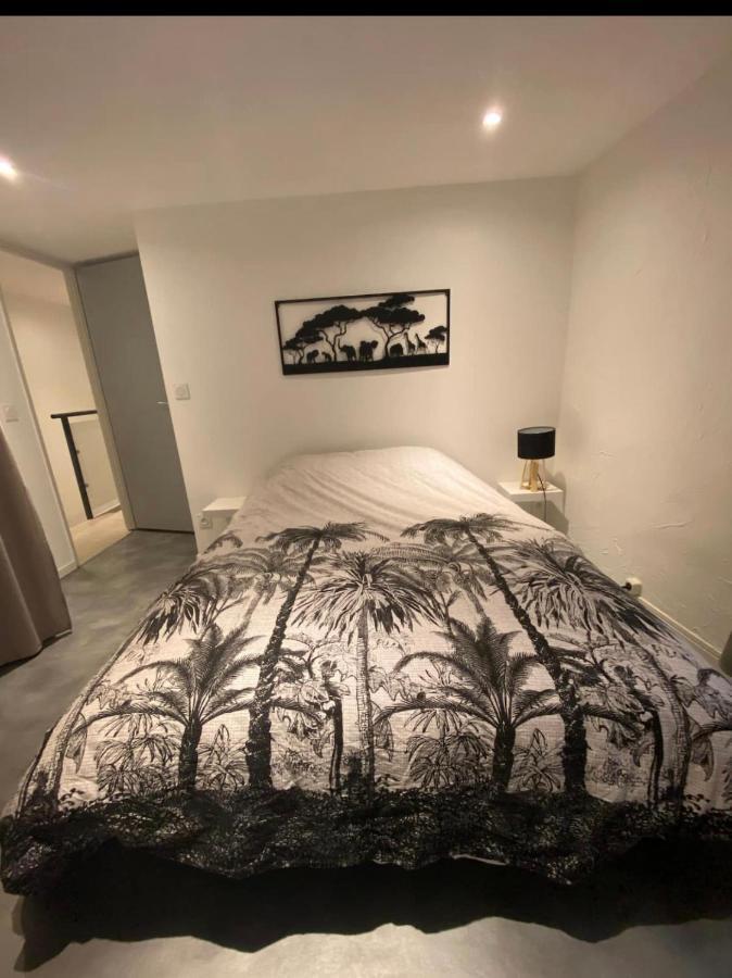 Le Boldieu- Duplex Beziers -Allee Paul Riquet- Wifi- Tv Connecte Εξωτερικό φωτογραφία